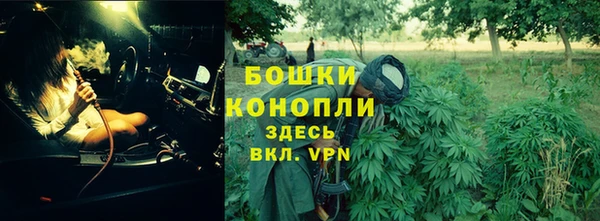 гидра Зеленокумск